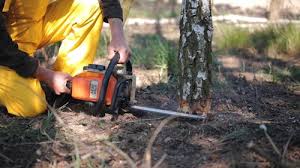 Best Grass Overseeding  in Milmay, NJ