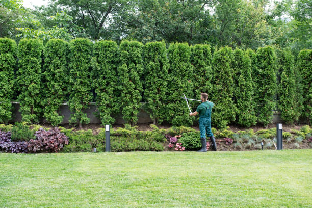 Best Aeration Services  in Milmay, NJ